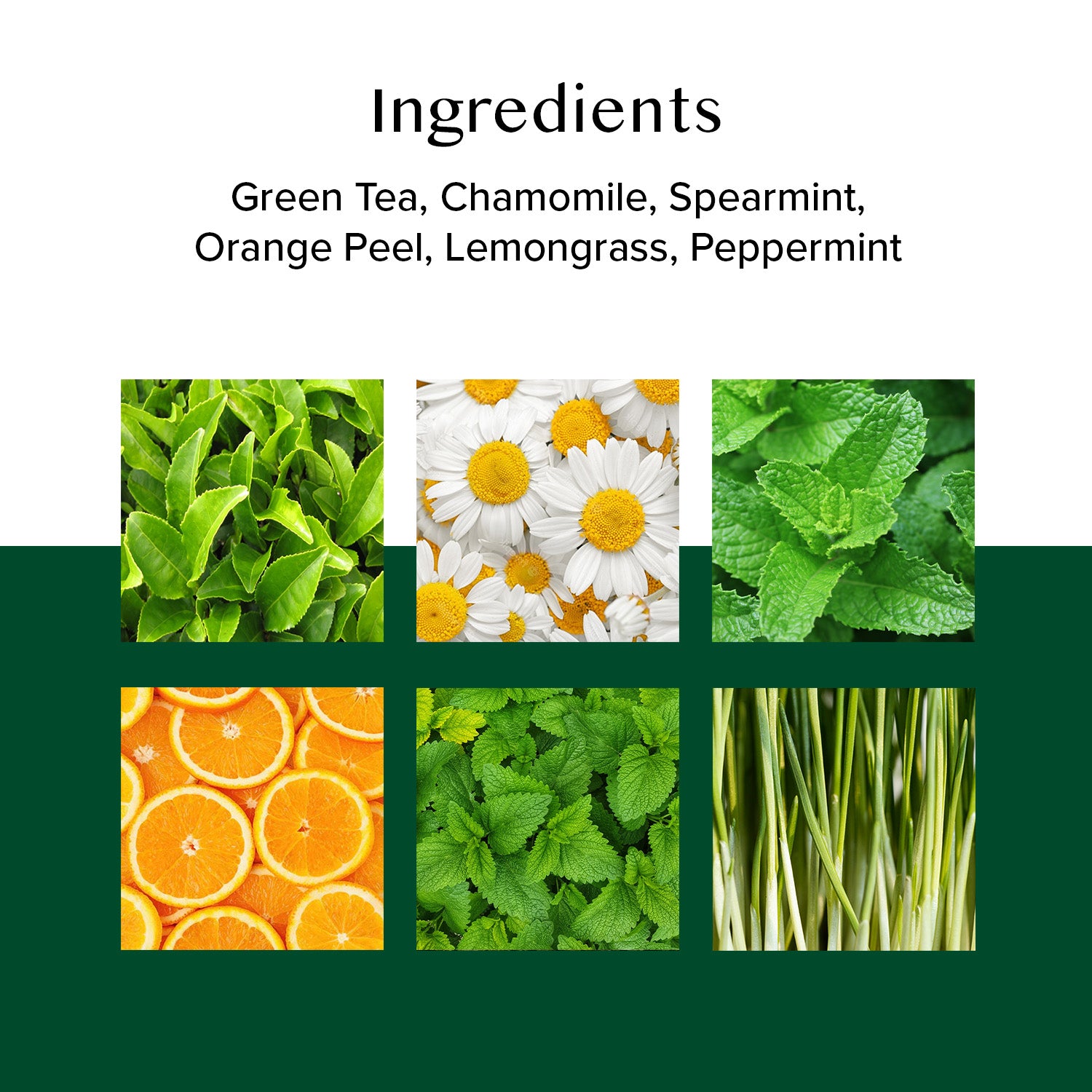 Chamomile Mint Citrus Green Tea, 50 Count