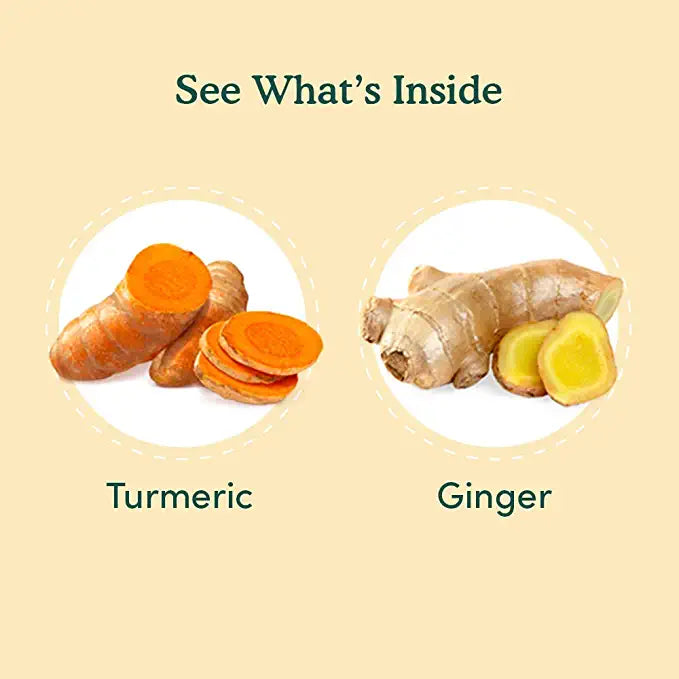 Organic India Tulsi Ginger Turmeric 25 Tea Bags Pack of 2  Amazonin  Grocery  Gourmet Foods